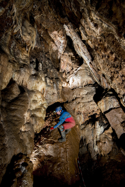 Fairy_Cave_full_mark.jpg