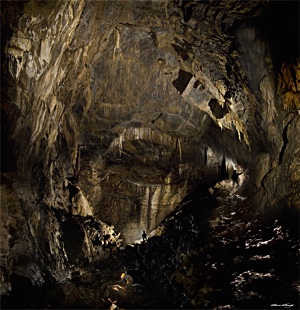 Copyright © Steve Sharp 2016